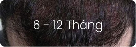 6 - 12 tháng